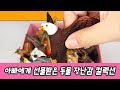 한국어ㅣ아빠에게 선물받은 동물 장난감 컬렉션!, 어린이 동물 만화, 동물 이름 외우기ㅣ꼬꼬스토이