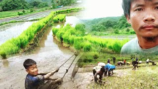 2025 Kum A Diainpite Changkeh Luhon Bo Leh Chngphu Na Lungset Tah In Ana Ve Kit Ute