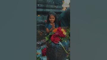 Mahadev Status Video 🌿 Bholenath Status 🔱 Mahakal Status ❤️ Bam Lhrihi #shorts #mahadev #shortsfeed