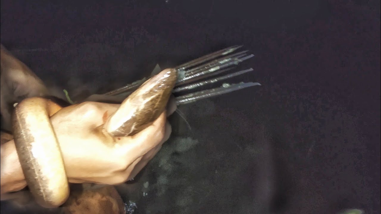 Real Night Fishing | Amazing Fish Hunting Video