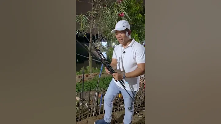 Cá Khủng Siêu Khoẻ Chuyên Bẻ Cần Câu #Shorts