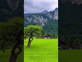 أجمل اغاني فيروز صباح الصباح فتاح يا عليم فيروز فيروزي