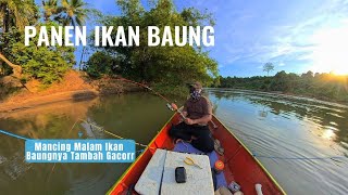 Rejeki dapat banyak ikan baung pas mancing malam harinya. Mancing dan bermalam di sungai | #AT2_012