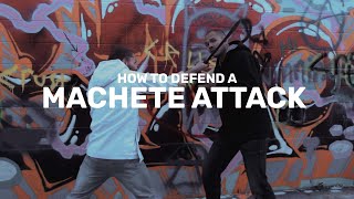 Download Lagu VERDEDIGING TEGEN EEN MACHETE-AANVAL! MP3
