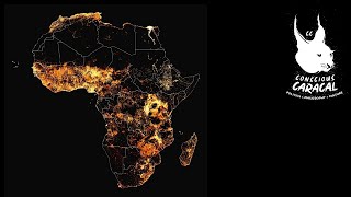 Geopolitical and Security Situation in Africa (2024) | Col. Ret. Chris Wyatt