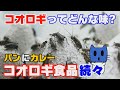 食糧難を救うのはコオロギ！パンにカレー、コオロギ食品って？？【マスクにゃんニュース】