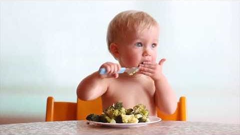 Dr. Gary Null on Protein