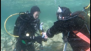 What's it like to get your Scuba Diver Certification | PADI Training Day 1