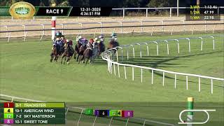 December 31, 2025 Race 9