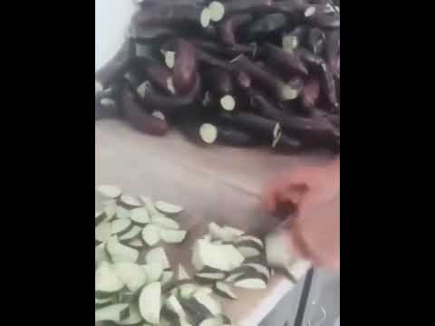 Try Not To Laugh : Funny Cat Videos1s2 #funnycats #cat #shorts #funnyvideo #2134