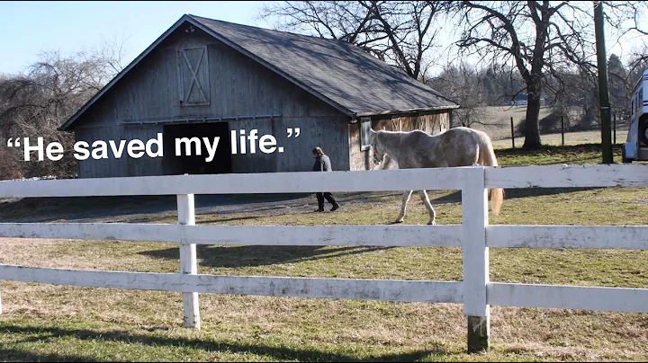 He saved my life: The story of Nancy Heil and racehorse Karans Notion