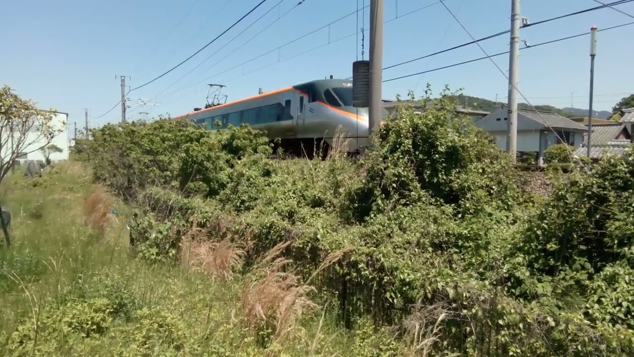 蘇鉄 JR四国×靴下屋×SUZUYA」地域限定商品を発売｜鉄道ニュース｜2026年4月7