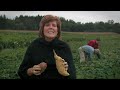 From Vineyard to Table: Cooking with Wine
