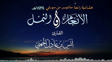 |عشائية جميلة| للقارئ انس بن عادل الجهني ما تيسر من سورتي الانعام والنمل|