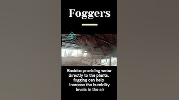 Fogger irrigation mimics natural fog #shorts#shortsvideos#fogger#mist#irrigation