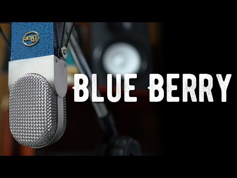 Blue Blueberry コンデンサーマイク購入 | Voicing