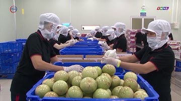 Diễn đàn xuất khẩu 2020: Dịch chuyển chuỗi cung ứng toàn cầu và phát triển vùng cung ứng nguyên liệu