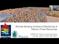 Remote Sensing and Monitoring Maine’s Forest Resources: Wheatland Geospatial Lab Lunch &amp; Learn