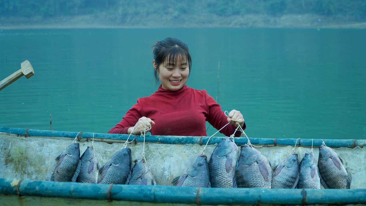 Giant Sweep Net Fishing – Huge Tilapia Catch on the Lake