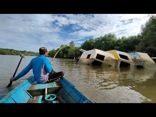 This shipwreck spot is inhabited by various types of fish class=