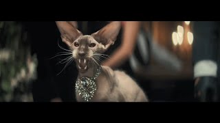 2022. Rakuten - High Stakes (Hannah Waddingham) [Super Bowl, Extended Cut]