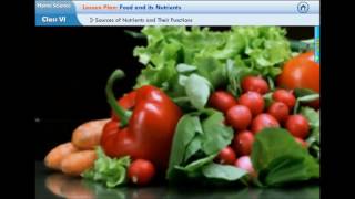 Virtual Integrated Learning Environments