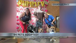 Over 90 pets adopted at PACC's Dog Days of Summer event