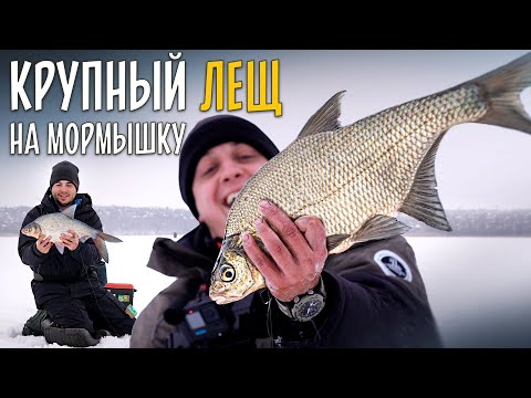 Ловля крупного ЛЕЩА зимой на мормышку. Рыбалка на льду на летнюю прикормку