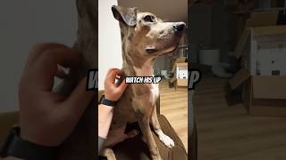 Zo Makes The Funniest Face Sometimes