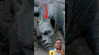 Terrifying Sea Creature Found on the Beach 😱🌊 | Real or Mystery #EmotionalDesign