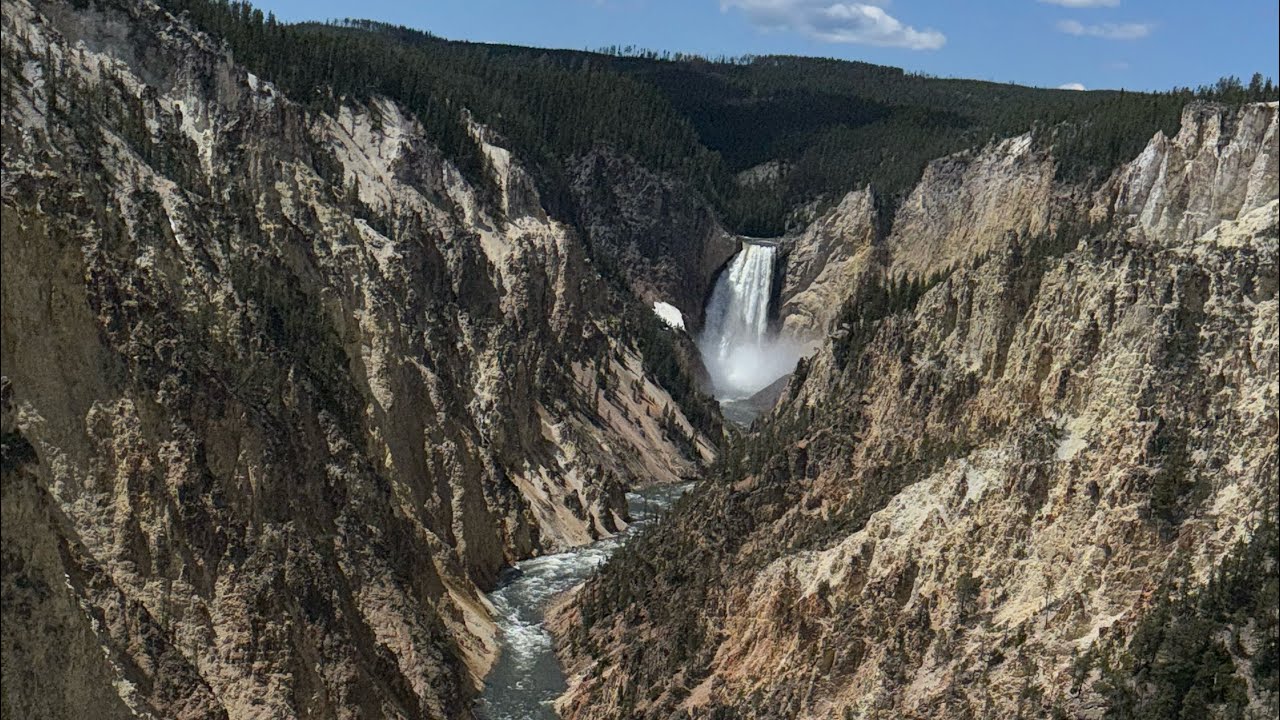 Tuo AI-powered tripod head transforming wildlife tracking. 