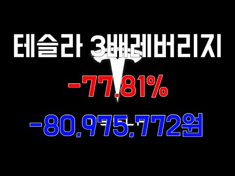 테슬라 200달러 돌파할까 190달러 깨고 하락할까 테슬라 1 12 하락 삼슬라 TSL3 5 16 하락 테슬라 3배레버리지로 은퇴하기 삼슬라일기 