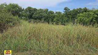 RAVENDEN SPRINGS LAND 4 SALE