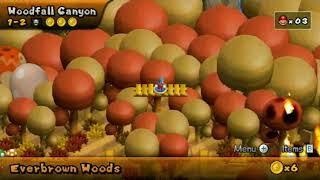Newer Super Mario Bros. Wii Falling Leaf Walkthrough