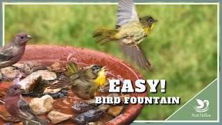 How -To:  Easy Bird Bath Fountain That LASTS