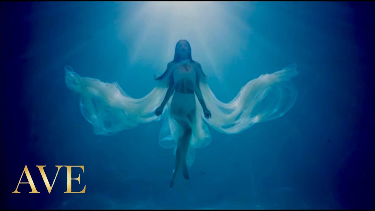 “DRIP” OFFICIAL MUSIC VIDEO