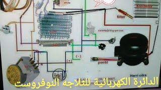 شرح الدائرة الكهربائية للثلاجه النوفروست وطريقة توصيل كل جزء فيها. Electric circuit refrigerator no