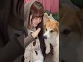 愛犬と流行りの音源やってみた🐕🫧 #コーギーのいる暮らし #tiktoktrend #振り付け