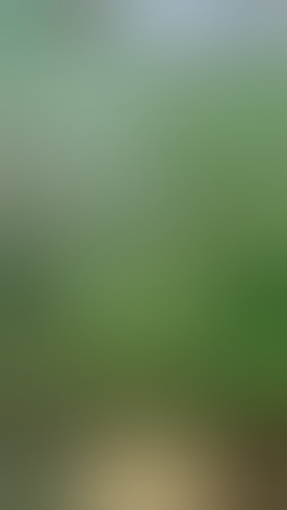 Idica #weed #fyp #fypfunnycanabbis