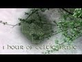 1 Hour of Celtic Music | Music by BrunuhVille