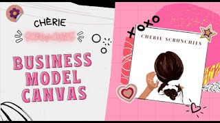 Video Pitching Business Model Canvas (BMC)