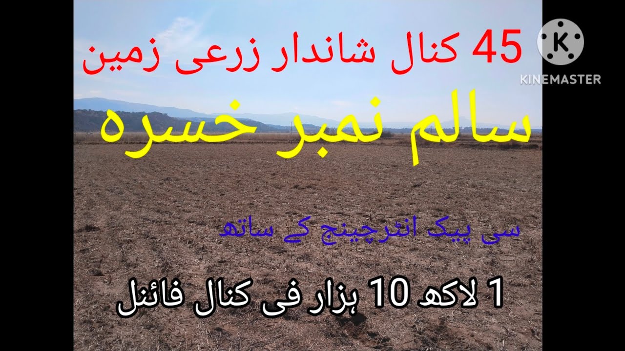 45 کنال شاندار زرعی زمین سی پیک انٹرچینج سے 6 کلومیٹر ہے الکرم پراپرٹی چکوال 