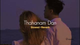 Thahanam Dan (𝙎𝙡𝙤𝙬𝙚𝙙×𝙍𝙚𝙫𝙚𝙧𝙗)