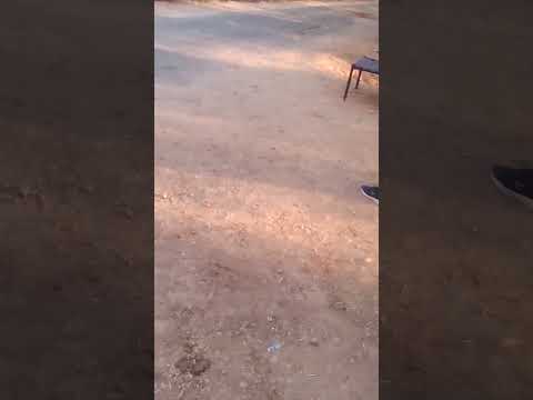 #viral #shorts #car