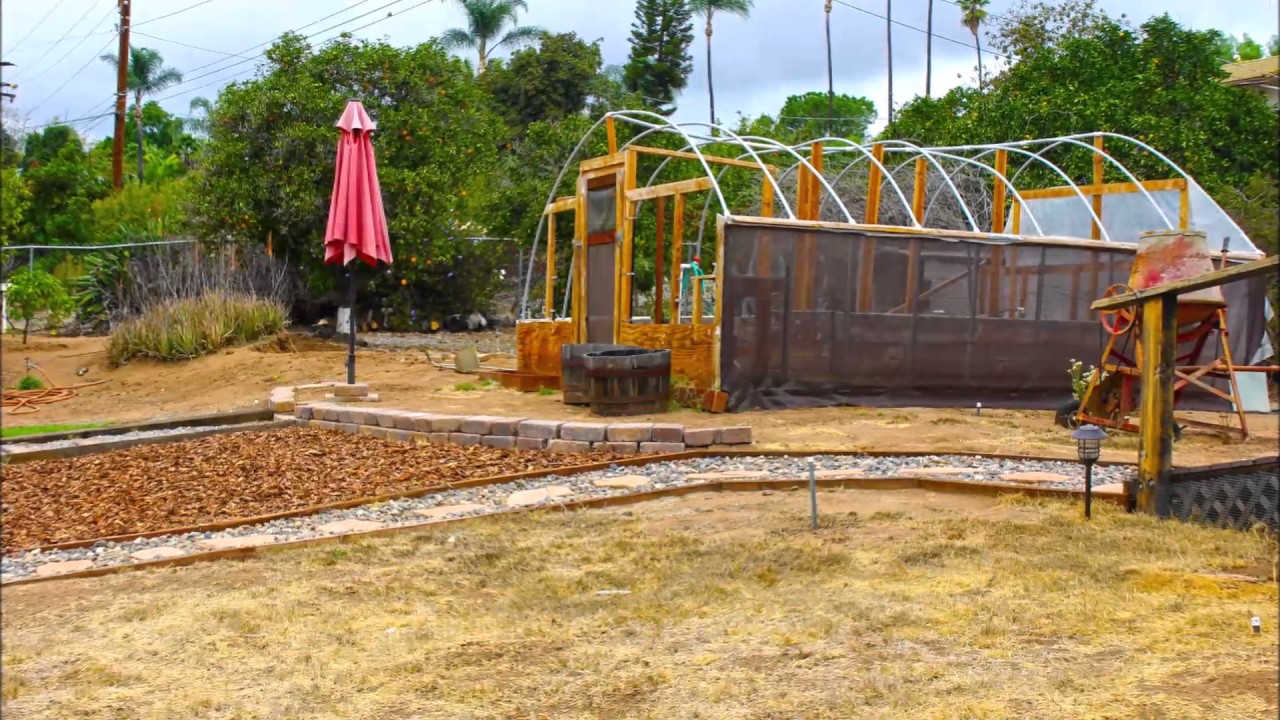 Darius Lauzon  -2316 Sunset Drive Escondido Ca 92025