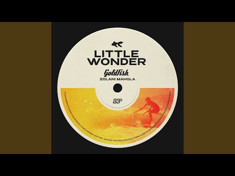 GoldFish & Zolani Mahola - Little Wonder