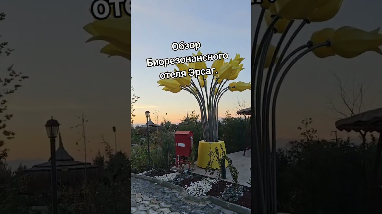 Быстрый обзор Биорезонанс Эрсаг . 