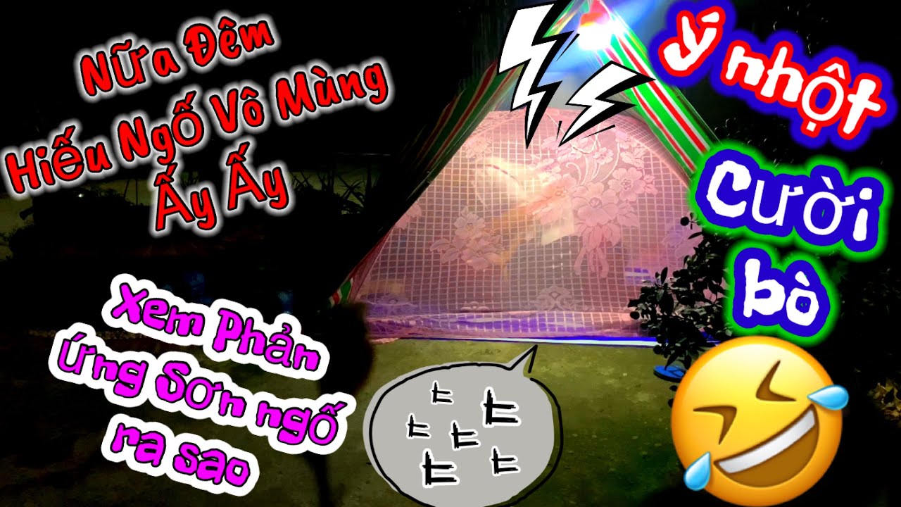 TỚI CÔNG CHUYỆN ! NỮA ĐÊM HIẾU NGỐ BÒ VÔ MÙNG ẤY ẤY và phản ứng Sơn ngố ! và cái kết | SN vlog