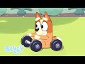 Ejercicio | Serie 3 | Bluey Español
