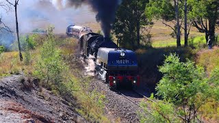 Garratt 6029 Climbs the Redbank Range to Thirlmere | Festival of Steam 2024